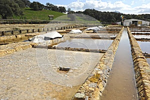 Roman salt flats of Iptuci. Prado del Rey, province of Cadiz Andalusia Spain.