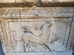 Roman sarcophagus limestone side view with griffin symbol Sremska Mitrovica Serbia