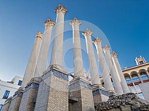 Roman Temple Ruins of Cordoba, Spain