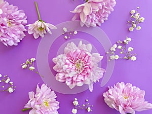 romance , flower creative pattern decorative on a colored background spring invitation birthday