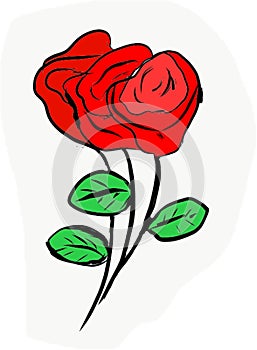 Romance, sweet date, lover`s choice, and nature`s red roses to share with your significant, loved ones