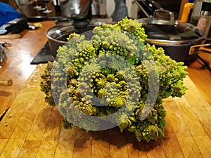 Romanesc cauliflower head