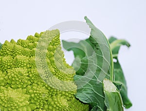 Romanesco