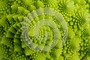 Romanesco photo