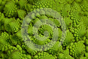 Romanesco also known as Roman cauliflower, Broccolo Romanesco, Romanesque cauliflower, species Brassica oleracea photo