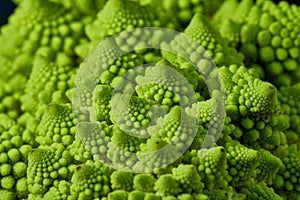 Romanesco also known as Roman cauliflower, Broccolo Romanesco, Romanesque cauliflower, species Brassica oleracea photo