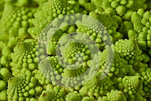 Romanesco also known as Roman cauliflower, Broccolo Romanesco, Romanesque cauliflower, species Brassica oleracea photo