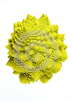 Romanesco (Brassicae oleracea) photo