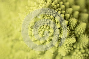 Romanesco Brecol in preparation to be cooked photo