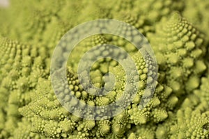 Romanesco Brecol in preparation to be cooked photo