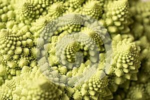 Romanesco Brecol in preparation to be cooked photo