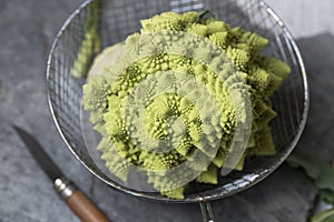 Romanesco Brecol in preparation to be cooked photo