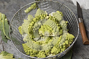 Romanesco Brecol in preparation to be cooked photo