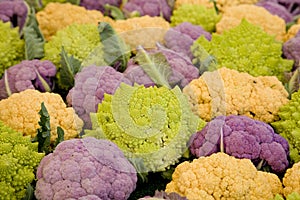 Romanesco Broccoli 1