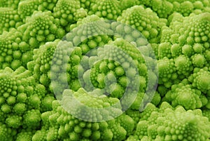 Romanesco broccoli
