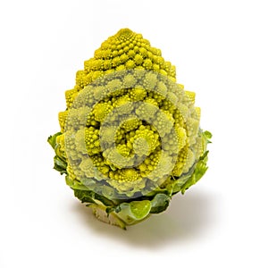 Romanesco broccoli