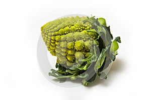 Romanesco broccoli