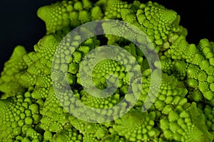 Romanesco also known as Roman cauliflower, Broccolo Romanesco, Romanesque cauliflower, species Brassica oleracea photo