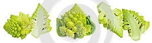 Romanesco broccoli cabbage or Roman Cauliflower isolated on white background with full depth of field