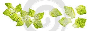 Romanesco broccoli cabbage or Roman Cauliflower isolated on white background . Top view. Flat lay