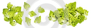 Romanesco broccoli cabbage or Roman Cauliflower isolated on white background . Top view. Flat lay