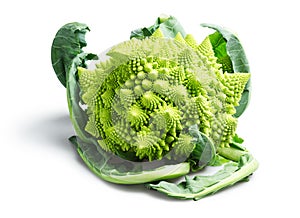 Romanesco Broccoli or Cauliflower on White Background
