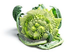 Romanesco Broccoli or Cauliflower on White Background photo