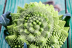 Romanesco broccoli close up. The fractal vegetable is known for it`s connection to the fibonacci sequence and the golden ratio.