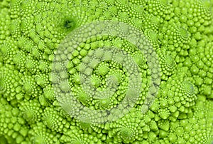 Romanesco Broccoli close-up. Green vegetable background