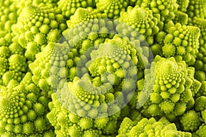 Romanesco broccoli