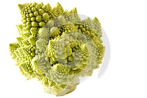 Romanesco Broccoli High Key