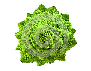 Romanesco broccoli photo