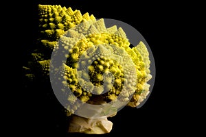 Romanesco Broccoli Low Key photo