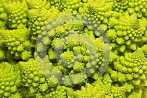 Romanesco broccoli macro close-up photo