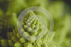 Romanesco broccoli or roman cauliflower close up