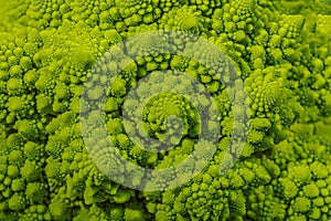 romanesco broccoli roman cauliflower inflorescence head of fresh green cabbage fractal exotic vegetable background