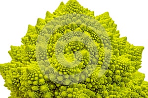 romanesco broccoli roman cauliflower inflorescence head of fresh green cabbage vegetable background isolated on white