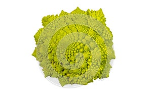 romanesco broccoli roman cauliflower inflorescence head of fresh green cabbage .vegetable background isolated on white.