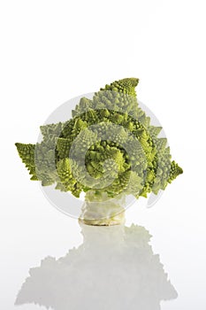 Romanesco broccoli, Roman cauliflower on a white background