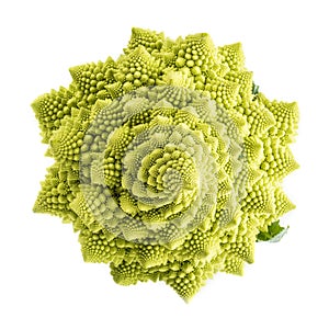 Romanesco broccoli vegetable isolated on white background photo