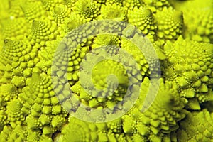 Romanesco cabbage background