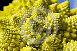 Romanesco cabbage background