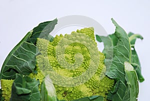 Romanesco Cauliflower