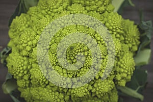 Romanesco cauliflower with logarithmic spirals with fibonacci nu