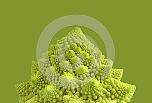 Romanesco head, close-up, monochrome photo