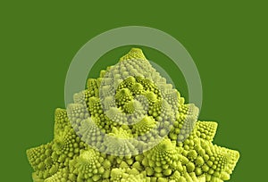 Romanesco head in front of a green background
