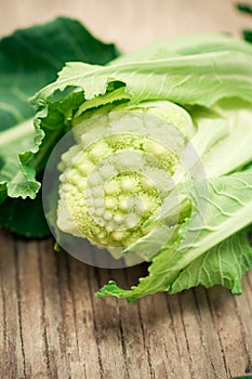 Romanesque broccoli photo