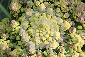 Romanesque Broccoli has a geometry pattern close to a fractal
