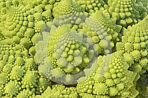 Romanesque cabbage fractals