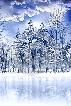 Romangtic magic winter landscape with snow, moon and starry sky